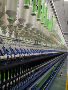 世界最大毛巾廠轉(zhuǎn)身擁抱互聯(lián)網(wǎng)，為何獨(dú)選拼多多？